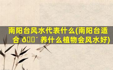 南阳台风水代表什么(南阳台适合 🐴 养什么植物会风水好)